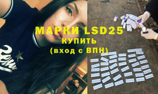 индика Заводоуковск
