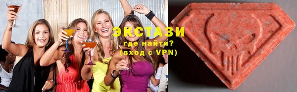 индика Заводоуковск