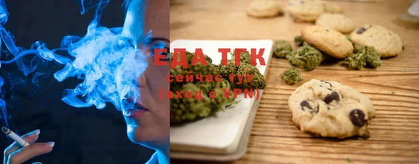 индика Заводоуковск