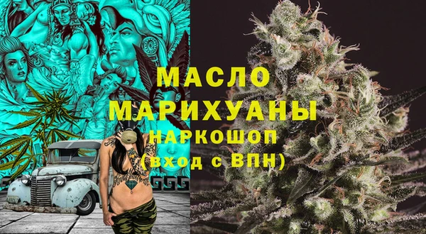 индика Заводоуковск