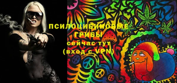 индика Заводоуковск