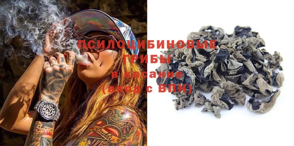 индика Заводоуковск