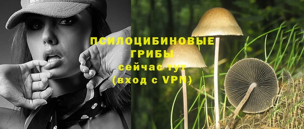 индика Заводоуковск
