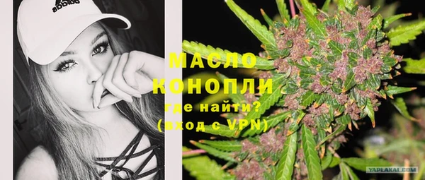 индика Заводоуковск