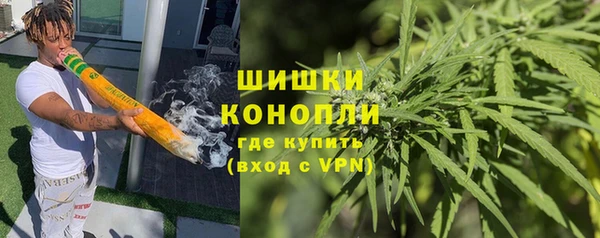 индика Заводоуковск
