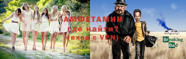 индика Заводоуковск