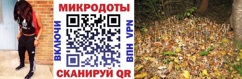 Псилоцибиновые грибы MAGIC MUSHROOMS  Купить закладки  Шатура 